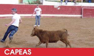 Capea despedidas en Logroño