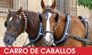 Carruaje de caballos despedidas de soltera Logroño
