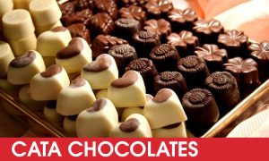 Cata de chocolate despedidas de soltera en Logroño