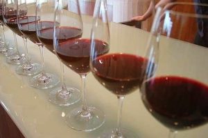 Cata de vino despedidas en Logroño