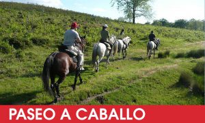 Paseo a caballo para despedidas de soltera Logroño