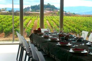 Visita a bodega y comida despedidas de soltera Logroño