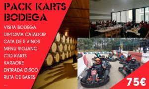 Bodega y karting para despedidas en Logroño