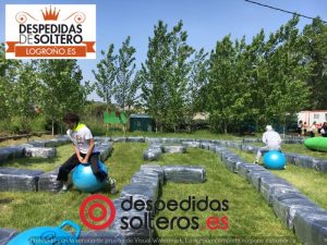despedidas en Logroño 05 mayo