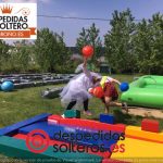 despedidas en Logroño 05 mayo