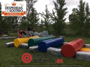 despedidas en Logroño 19 mayo