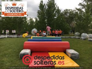 despedidas en Logroño 19 mayo