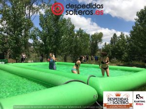 despedidas en Logroño 02 junio