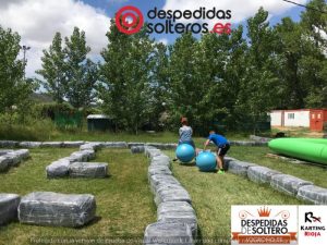 despedidas en Logroño 02 junio