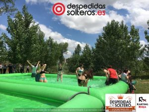 despedidas en Logroño 02 junio