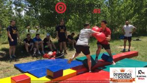 despedidas en Logroño 16 junio