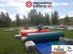 despedidas en Logroño 21 julio