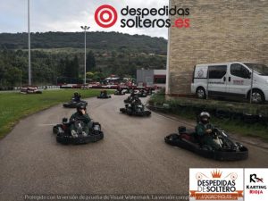 despedidas en Logroño 30 junio