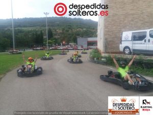 despedidas en Logroño 30 junio