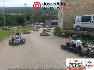 despedidas en Logroño 30 junio