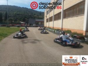 despedidas en Logroño 16 marzo